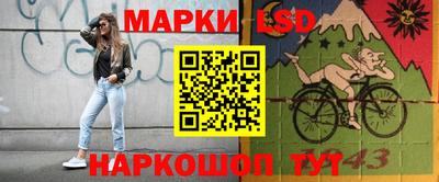 амф Гай