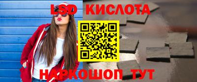гидра Гатчина