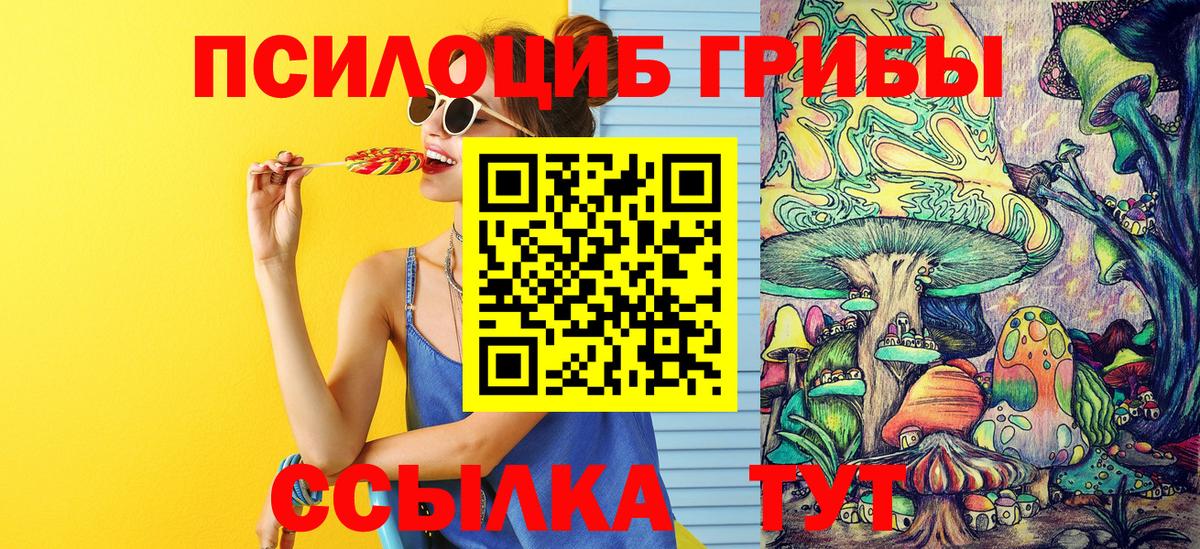 Ярцево  Псилоцибиновые грибы прущие грибы  Вход с VPN  Галлюциногенные грибы Cubensis 